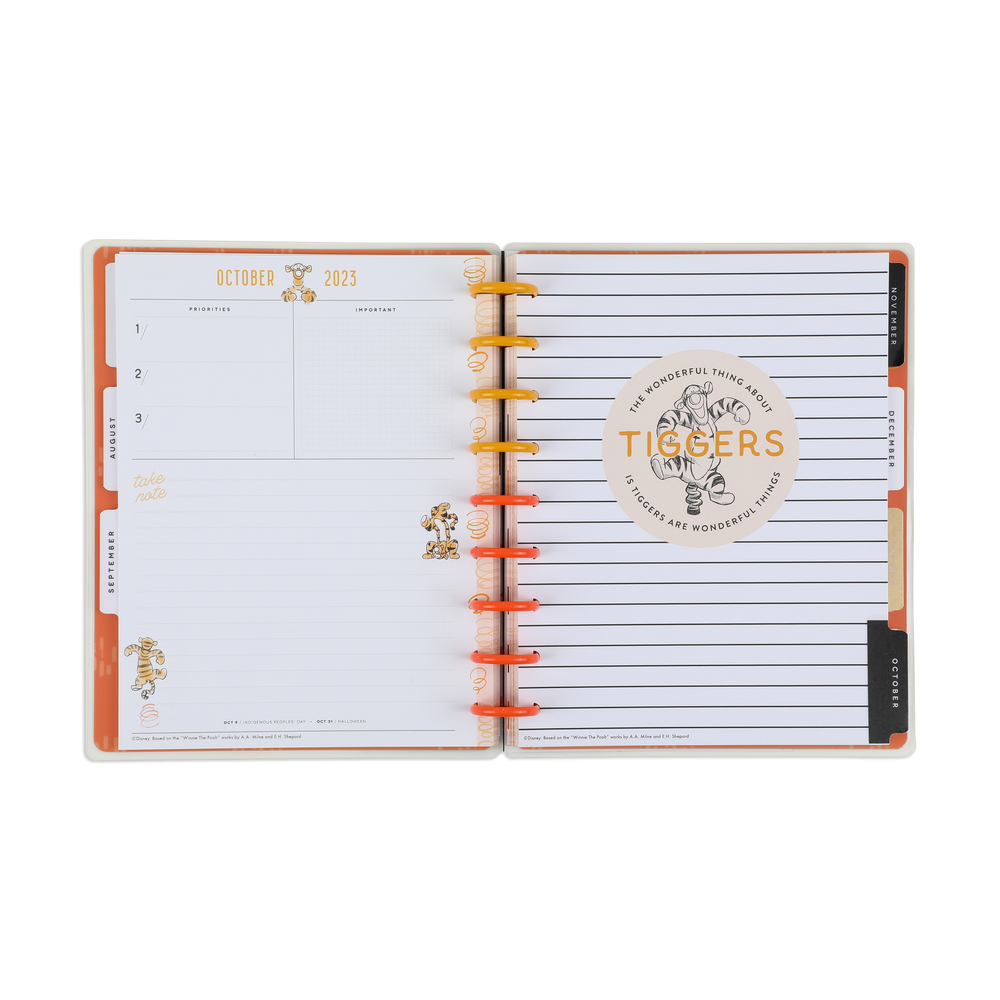  Happy Planner Disney Sticker Set for Planners, Calendars, and  Journals, Easy-Peel Disney Stickers, Scrapbook Accessories, Winnie-the-Pooh  Tigger Wonderful Things Theme, 30 Sheets, 581 Total Stickers : Office  Products