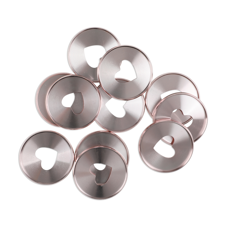 METAL Expander Discs Rose Gold Happy Planner