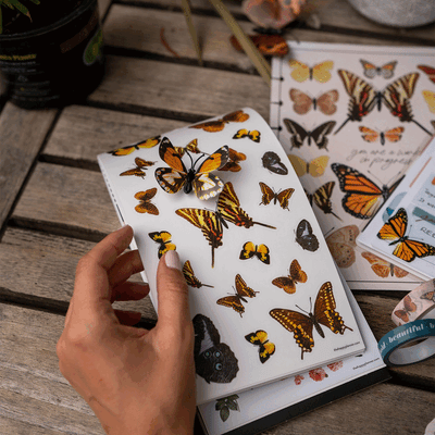 Value Pack Stickers - Papillon Butterfly