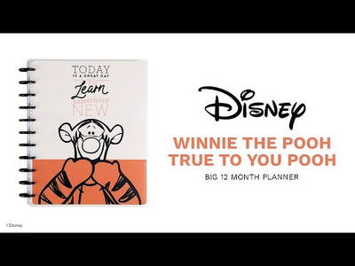 2023 Disney Winnie the Pooh True to You Happy Planner - Big Vertical Layout - 12 Months